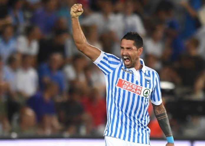 marco-borriello-ok-calciomercato-2 Marco Borriello, Spal 2017/18
